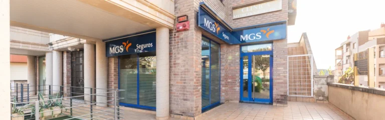 MGS Seguros 2 result 768x240