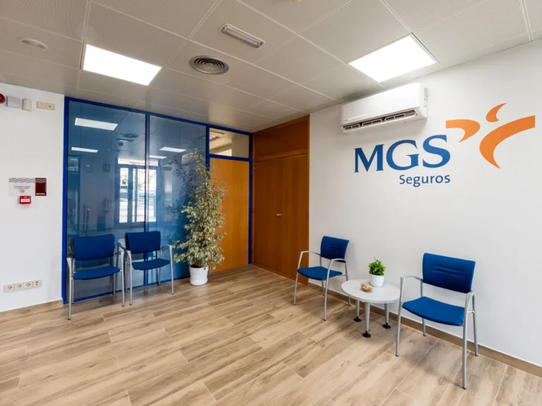 MGS Seguros 5 result 768x576